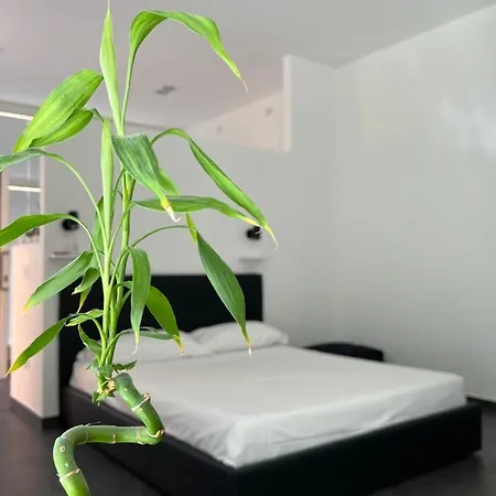 Loft Galla Placidia Appartamento Ravenna